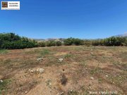 Kokkinos Pyrgos Kreta, Kokkinos Pyrgos, bebaubares Grundstück 3800m² 200m bis zum Meer Grundstück kaufen